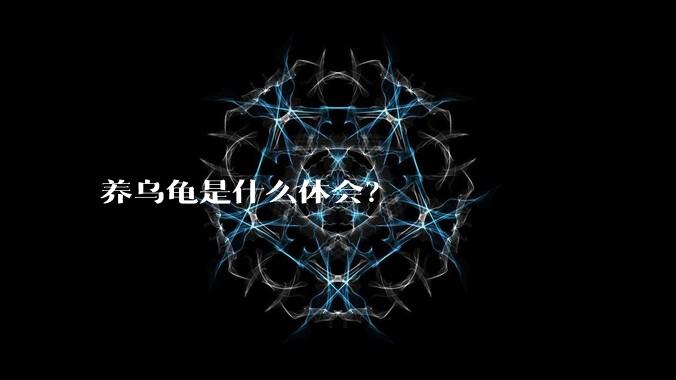 养乌龟是什么体会？