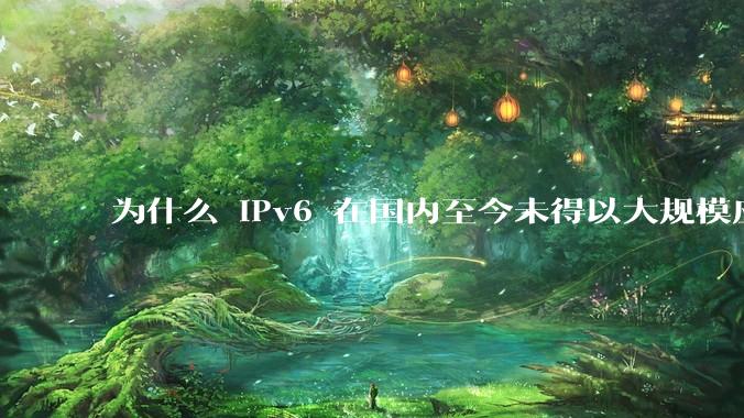为什么 IPv6 在国内至今未得以大规模应用?