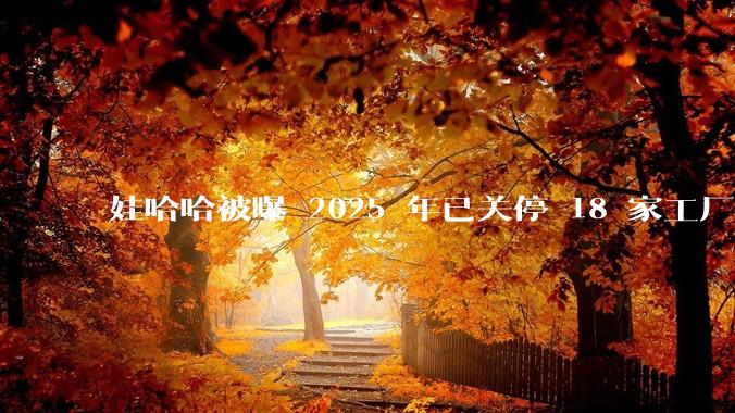 娃哈哈被曝 2025 年已关停 18 家工厂，此前曾回应纯净水由今麦郎代工，娃哈哈到底在布局什么？